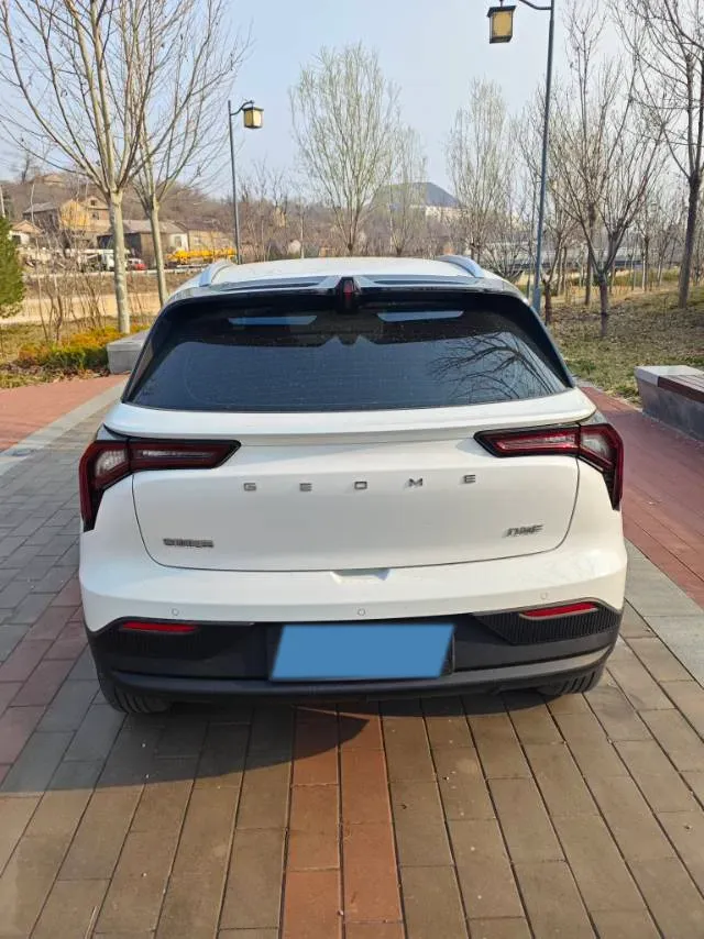 2024 Geometry E BEV 29.67KWH,autocango,china used car exporter,china ev exporter,chinese used car exporter,chinese used ev exporter