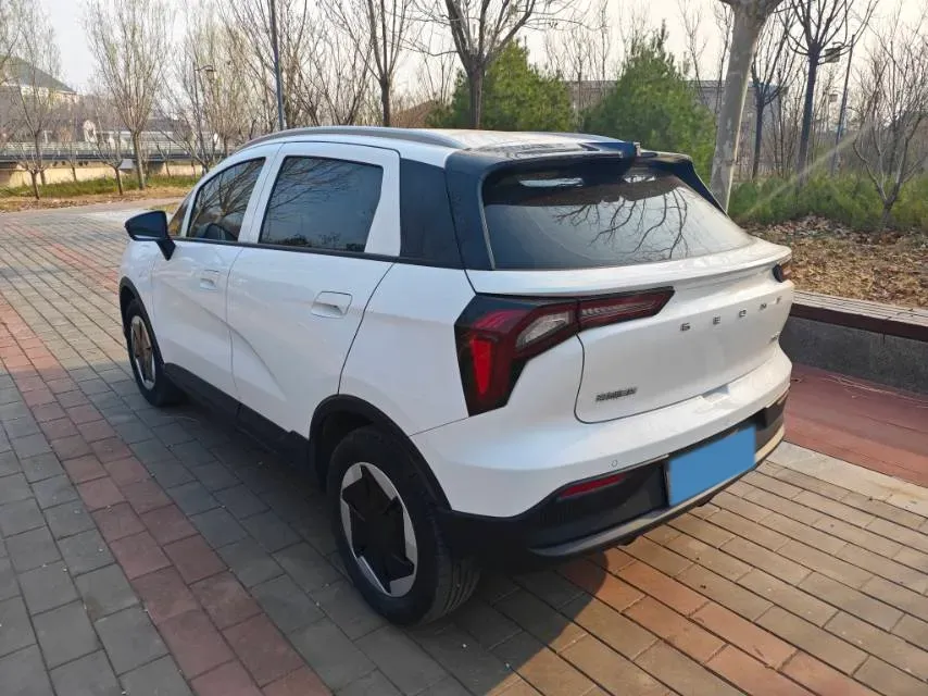 2024 Geometry E BEV 29.67KWH,autocango,china used car exporter,china ev exporter,chinese used car exporter,chinese used ev exporter
