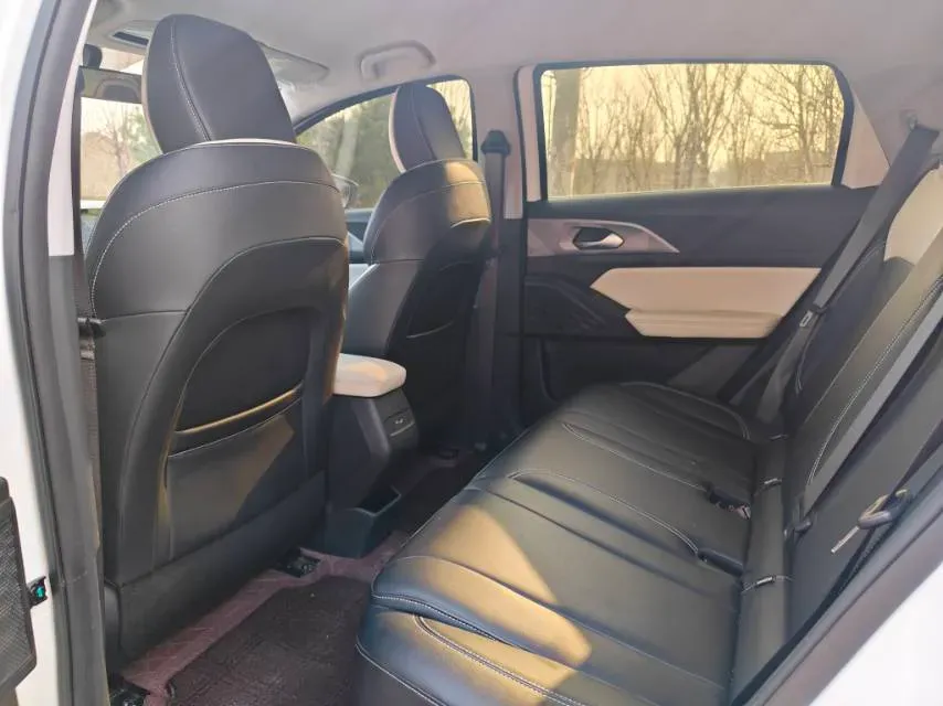 2024 Geometry E BEV 29.67KWH,autocango,china used car exporter,china ev exporter,chinese used car exporter,chinese used ev exporter