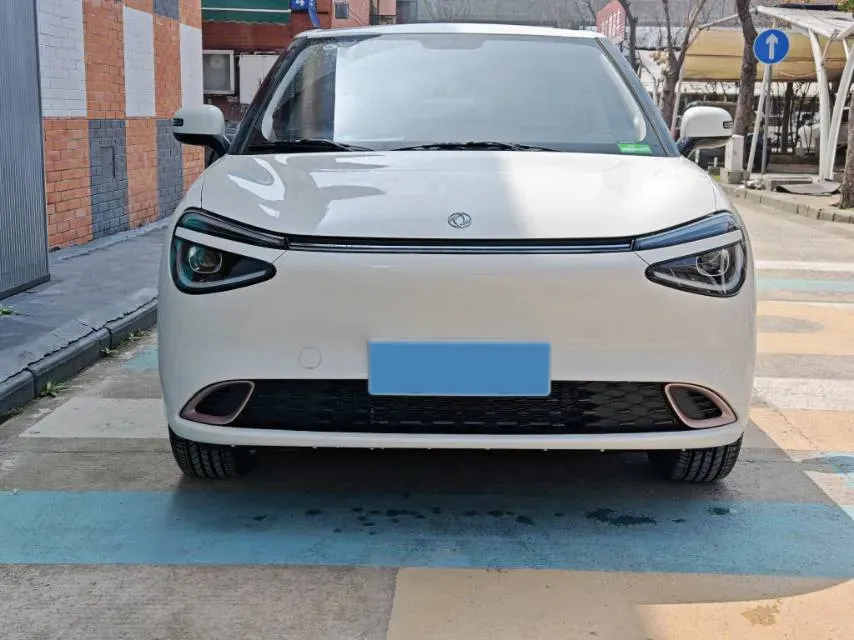 2024 DongFeng eπ 01 BEV 31.45KWH,autocango,china used car exporter,china ev exporter,chinese used car exporter,chinese used ev exporter