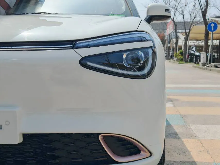 2024 DongFeng eπ 01 BEV 31.45KWH,autocango,china used car exporter,china ev exporter,chinese used car exporter,chinese used ev exporter