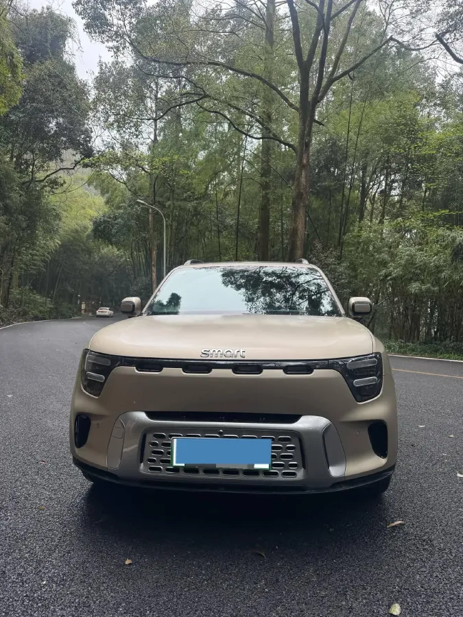 2024 Smart smart Elf 5 BEV 76KWH,autocango,china used car exporter,china ev exporter,chinese used car exporter,chinese used ev exporter