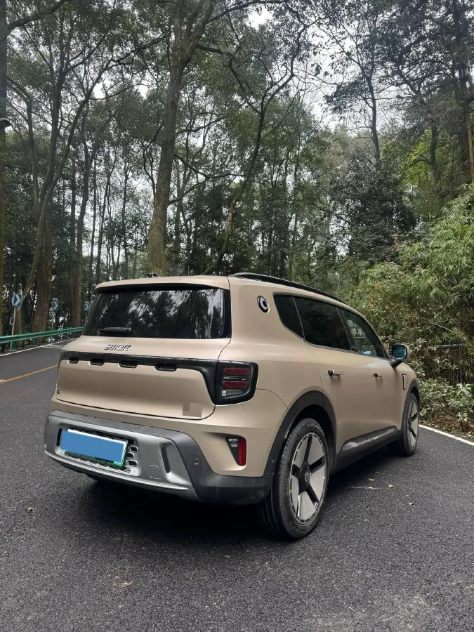 2024 Smart smart Elf 5 BEV 76KWH,autocango,china used car exporter,china ev exporter,chinese used car exporter,chinese used ev exporter