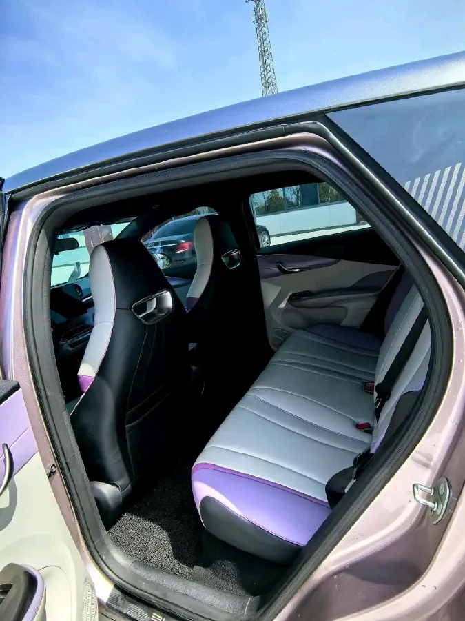 2021 BYD e2 BEV 43.2KWH,autocango,china used car exporter,china ev exporter,chinese used car exporter,chinese used ev exporter