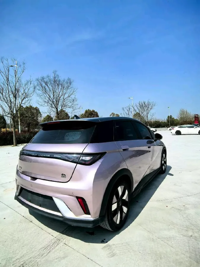 2021 BYD e2 BEV 43.2KWH,autocango,china used car exporter,china ev exporter,chinese used car exporter,chinese used ev exporter