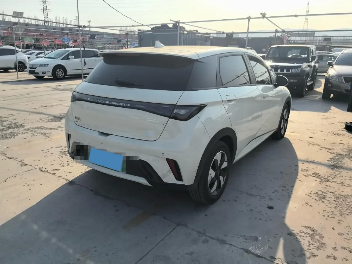 2024 BYD Dolphin BEV 44.928KWH,autocango,china used car exporter,china ev exporter,chinese used car exporter,chinese used ev exporter