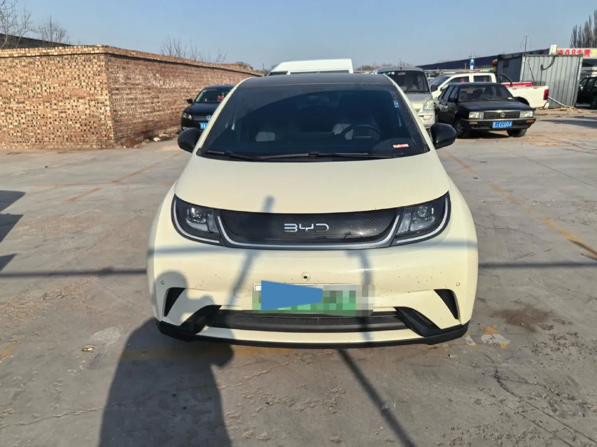2024 BYD Dolphin BEV 44.928KWH,autocango,china used car exporter,china ev exporter,chinese used car exporter,chinese used ev exporter