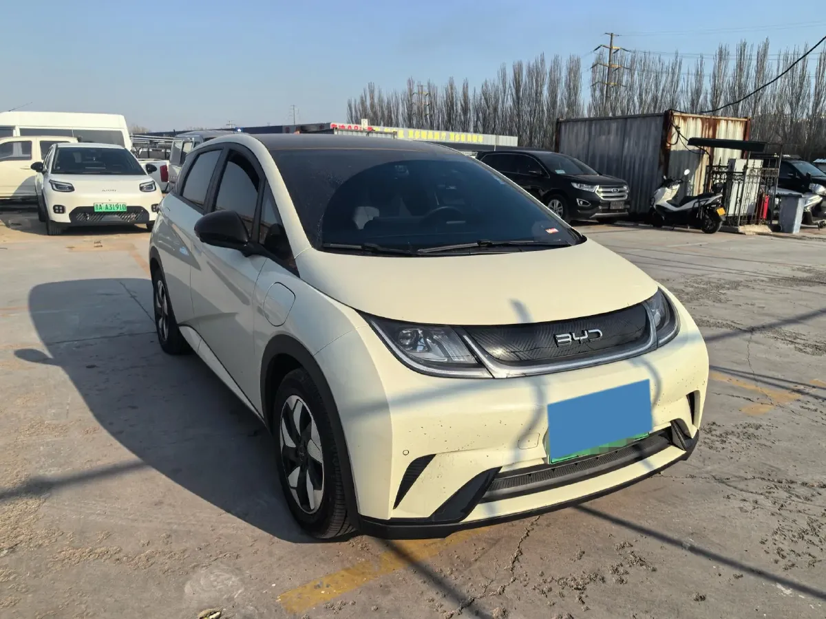 2024 BYD Dolphin BEV 44.928KWH,autocango,china used car exporter,china ev exporter,chinese used car exporter,chinese used ev exporter