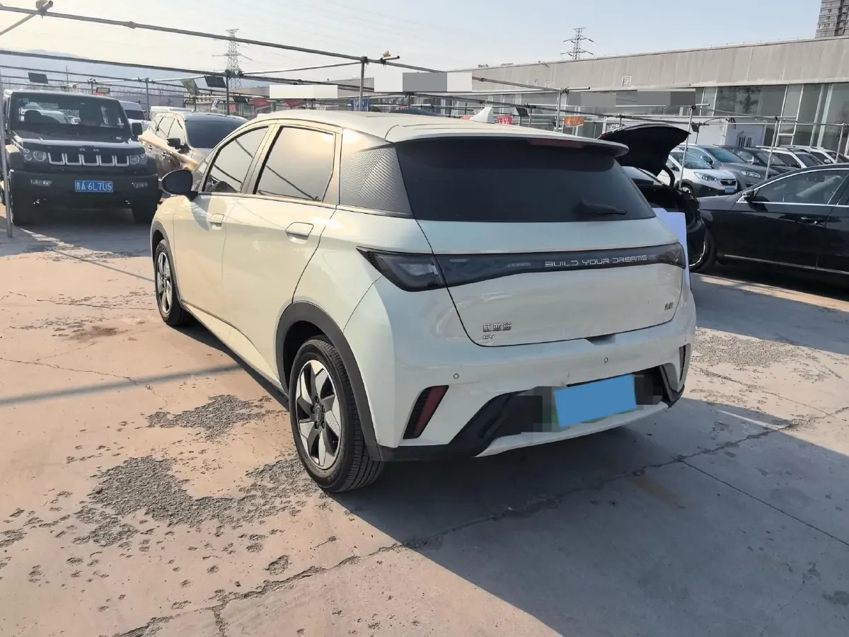2024 BYD Dolphin BEV 44.928KWH,autocango,china used car exporter,china ev exporter,chinese used car exporter,chinese used ev exporter