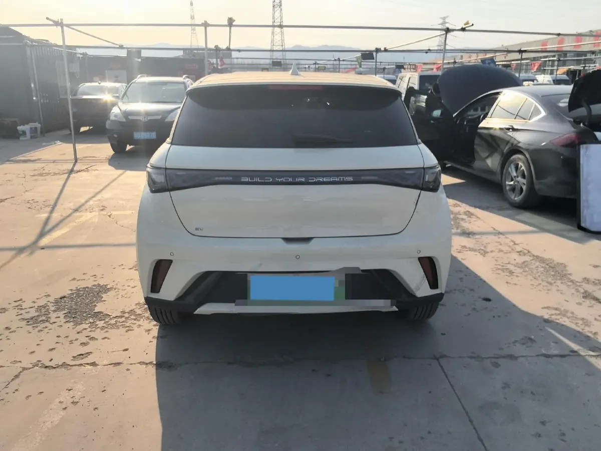 2024 BYD Dolphin BEV 44.928KWH,autocango,china used car exporter,china ev exporter,chinese used car exporter,chinese used ev exporter
