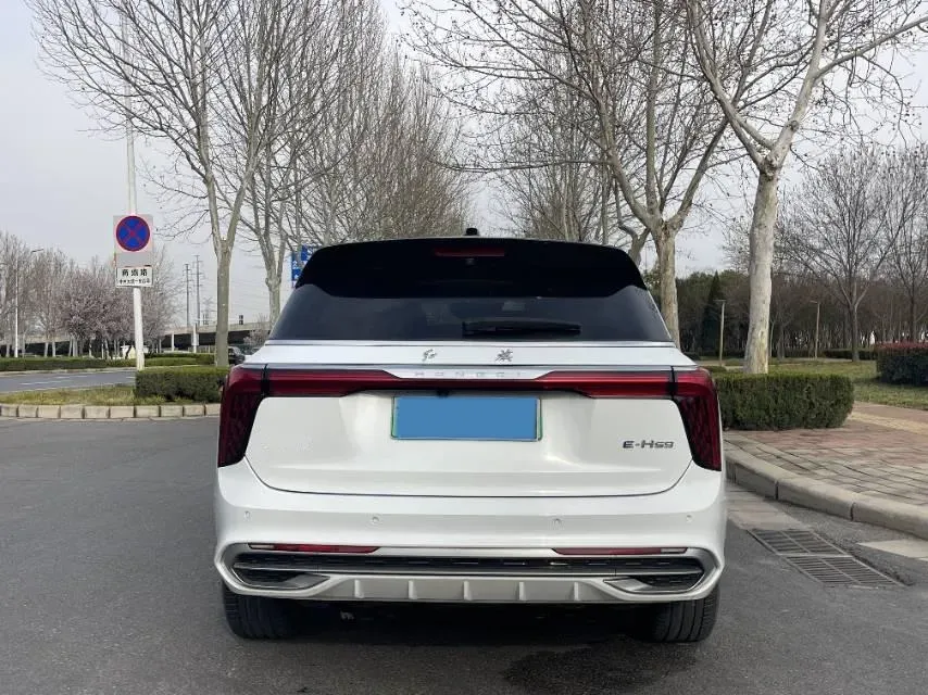 2022 HongQi E-HS9 BEV 120KWH,autocango,china used car exporter,china ev exporter,chinese used car exporter,chinese used ev exporter