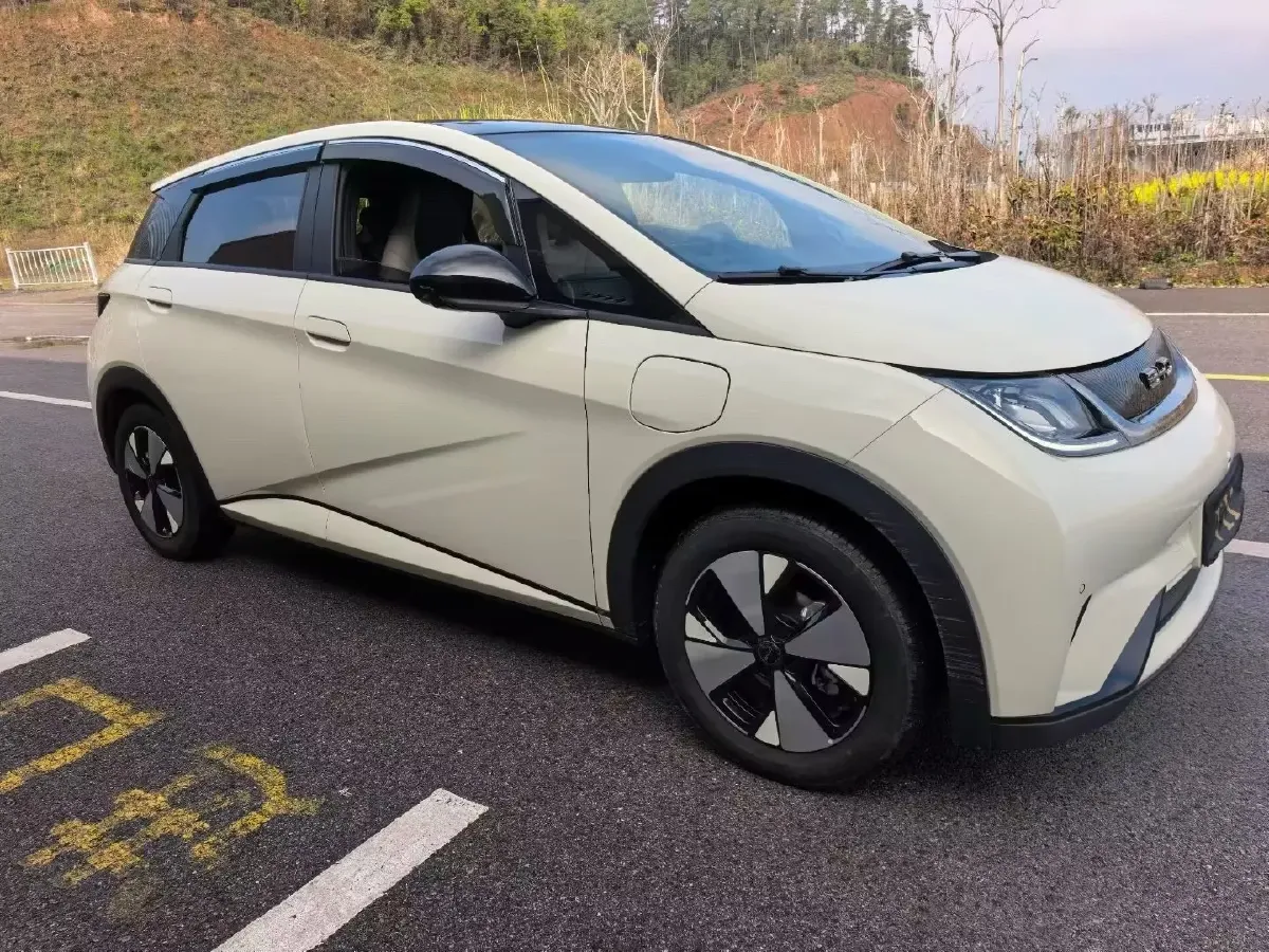 2023 BYD Dolphin BEV 44.928KWH,autocango,china used car exporter,china ev exporter,chinese used car exporter,chinese used ev exporter