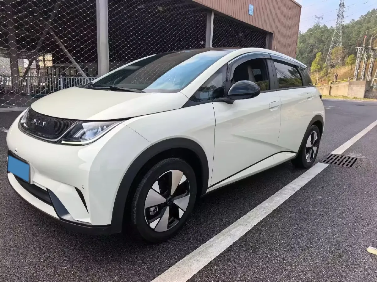 2023 BYD Dolphin BEV 44.928KWH,autocango,china used car exporter,china ev exporter,chinese used car exporter,chinese used ev exporter
