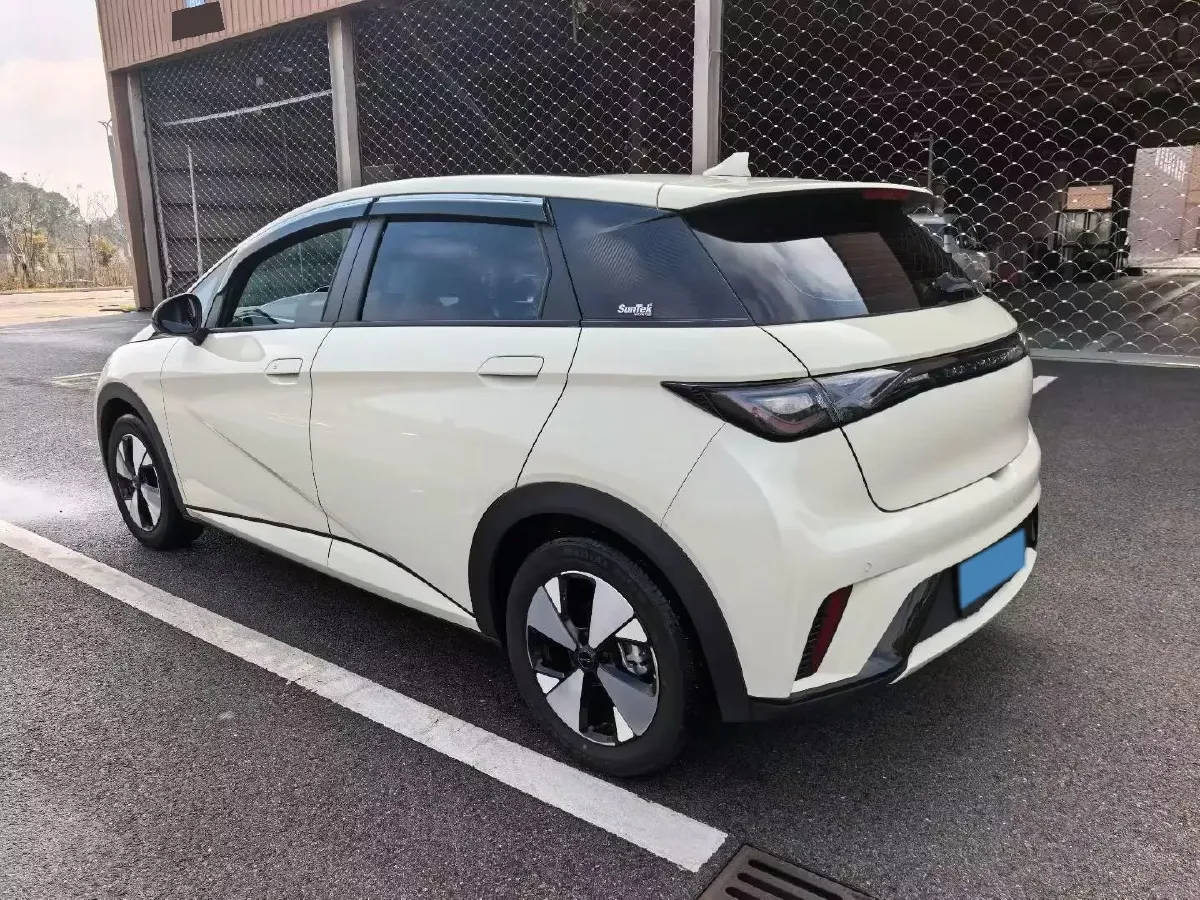 2023 BYD Dolphin BEV 44.928KWH,autocango,china used car exporter,china ev exporter,chinese used car exporter,chinese used ev exporter