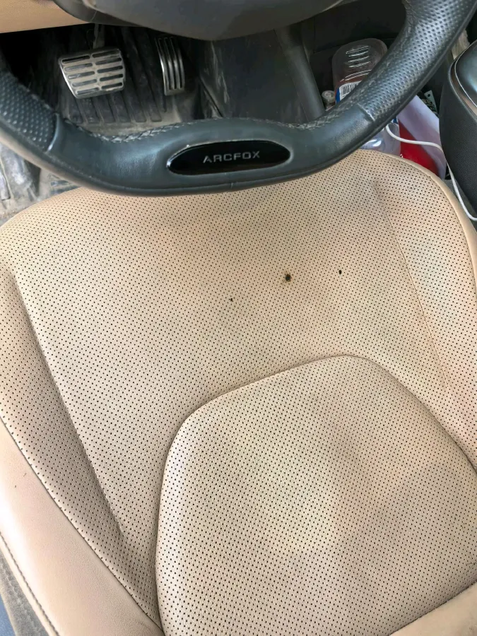 2024 HongQi H5 2.0T 224HP L4 8AT,autocango,china used car exporter,china ev exporter,chinese used car exporter,chinese used ev exporter