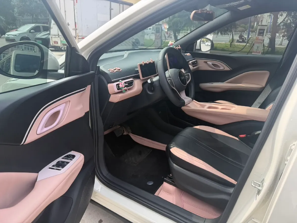 2025 BYD Seagull BEV 30.08KWH,autocango,china used car exporter,china ev exporter,chinese used car exporter,chinese used ev exporter