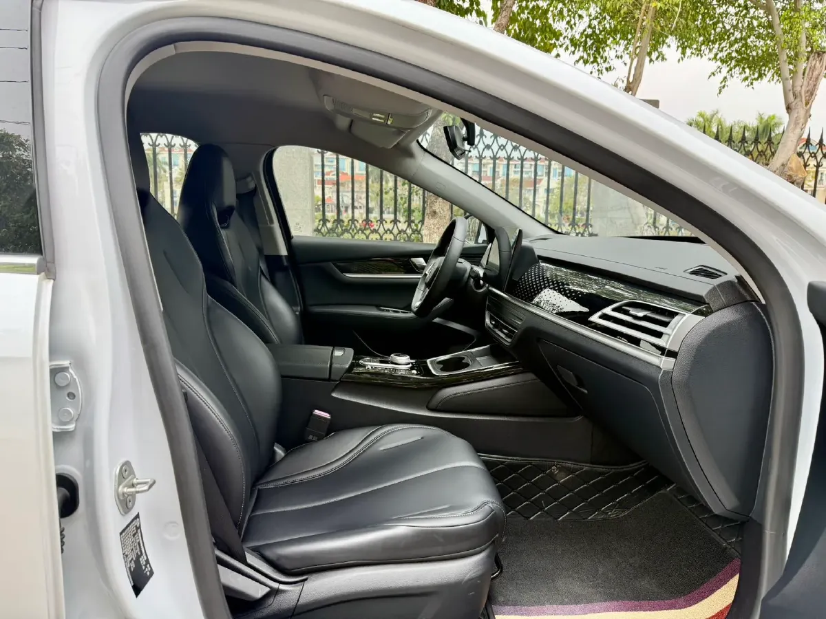 2021 BYD Qin BEV 53.56KWH,autocango,china used car exporter,china ev exporter,chinese used car exporter,chinese used ev exporter