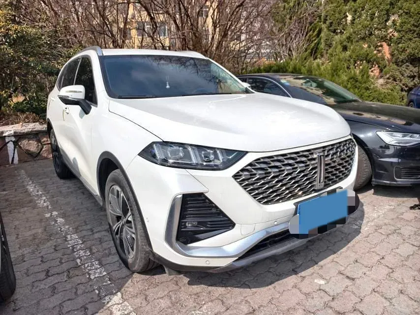 2022 WEY Latte 1.5T 156HP L4 2DHT PHEV 34KWH,autocango,china used car exporter,china ev exporter,chinese used car exporter,chinese used ev exporter