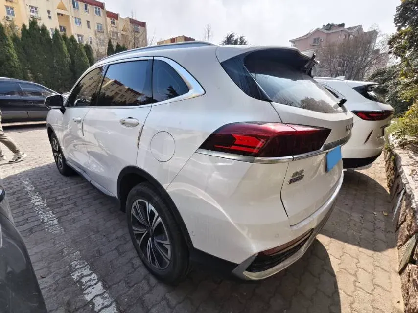 2022 WEY Latte 1.5T 156HP L4 2DHT PHEV 34KWH,autocango,china used car exporter,china ev exporter,chinese used car exporter,chinese used ev exporter