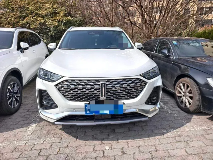2022 WEY Latte 1.5T 156HP L4 2DHT PHEV 34KWH,autocango,china used car exporter,china ev exporter,chinese used car exporter,chinese used ev exporter
