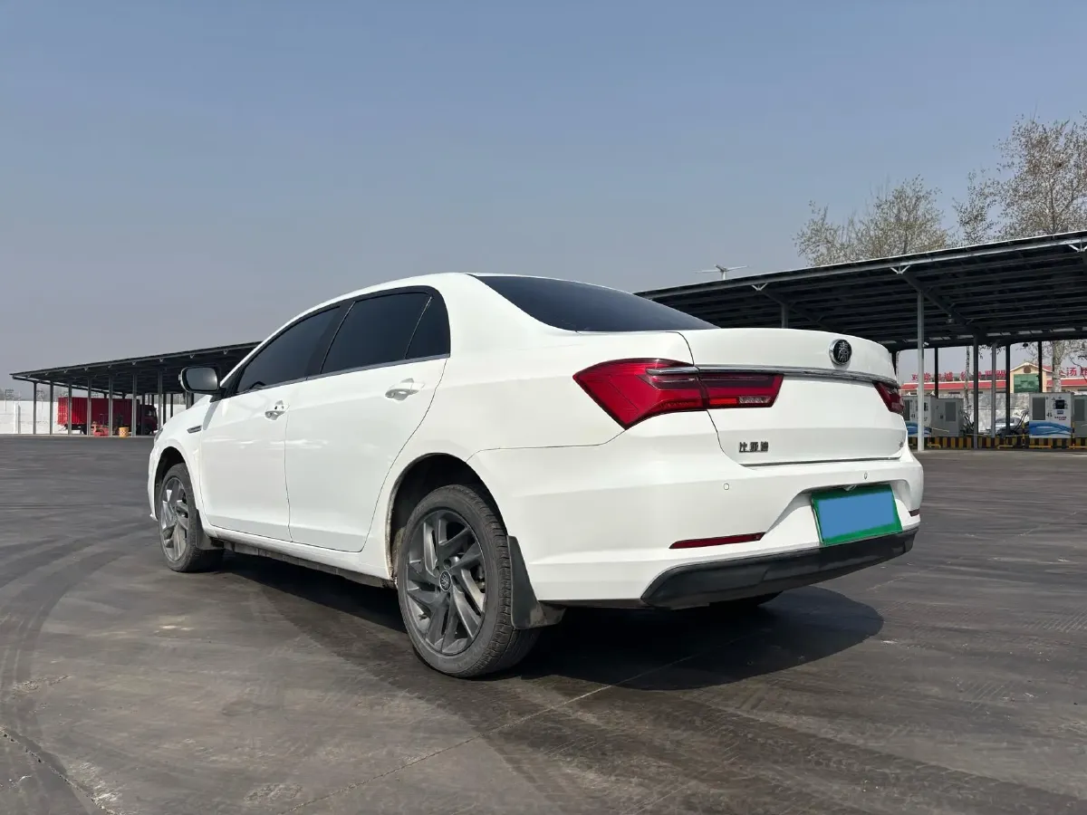 2019 BYD Qin BEV 53.1KWH,autocango,china used car exporter,china ev exporter,chinese used car exporter,chinese used ev exporter
