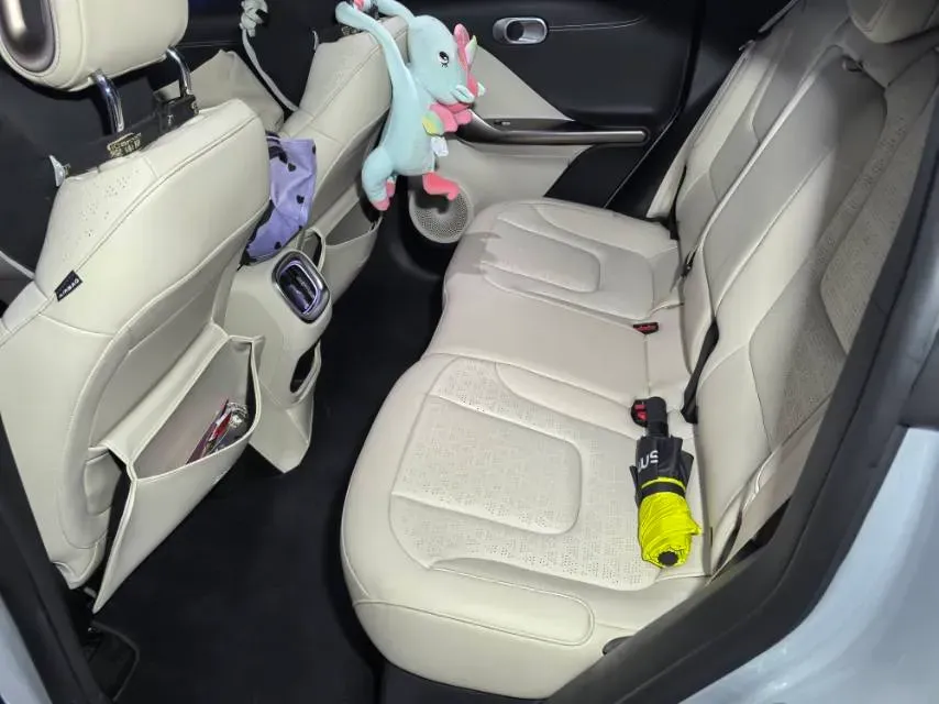 2022 Smart smart Elf 1 BEV 66KWH,autocango,china used car exporter,china ev exporter,chinese used car exporter,chinese used ev exporter