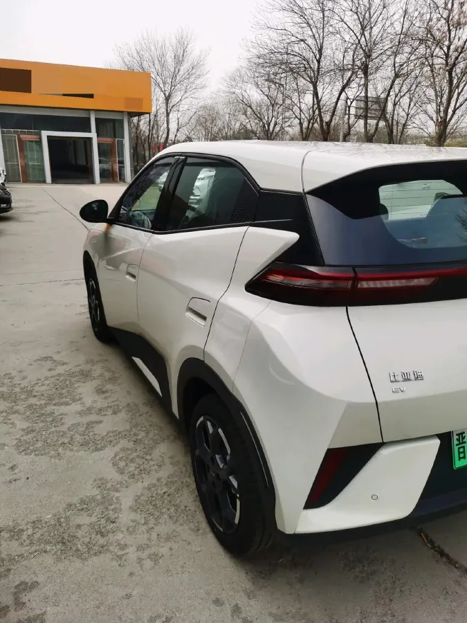 2025 BYD Seagull BEV,autocango,china used car exporter,china ev exporter,chinese used car exporter,chinese used ev exporter