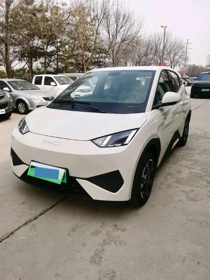 2025 BYD Seagull BEV,autocango,china used car exporter,china ev exporter,chinese used car exporter,chinese used ev exporter