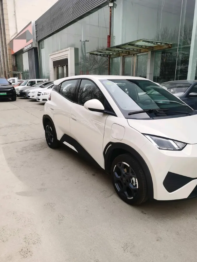 2025 BYD Seagull BEV,autocango,china used car exporter,china ev exporter,chinese used car exporter,chinese used ev exporter