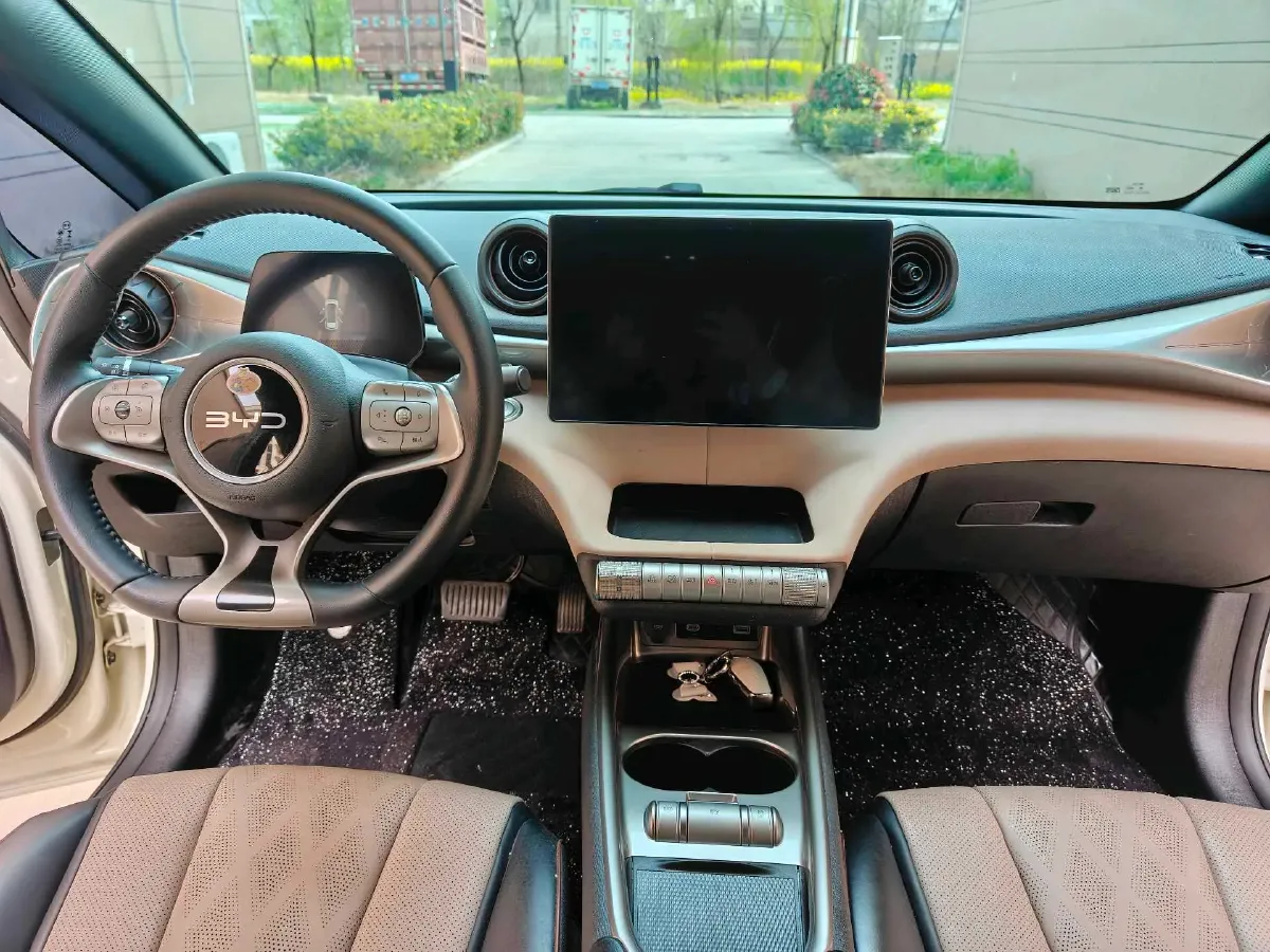 2025 BYD Dolphin BEV 44.928KWH,autocango,china used car exporter,china ev exporter,chinese used car exporter,chinese used ev exporter