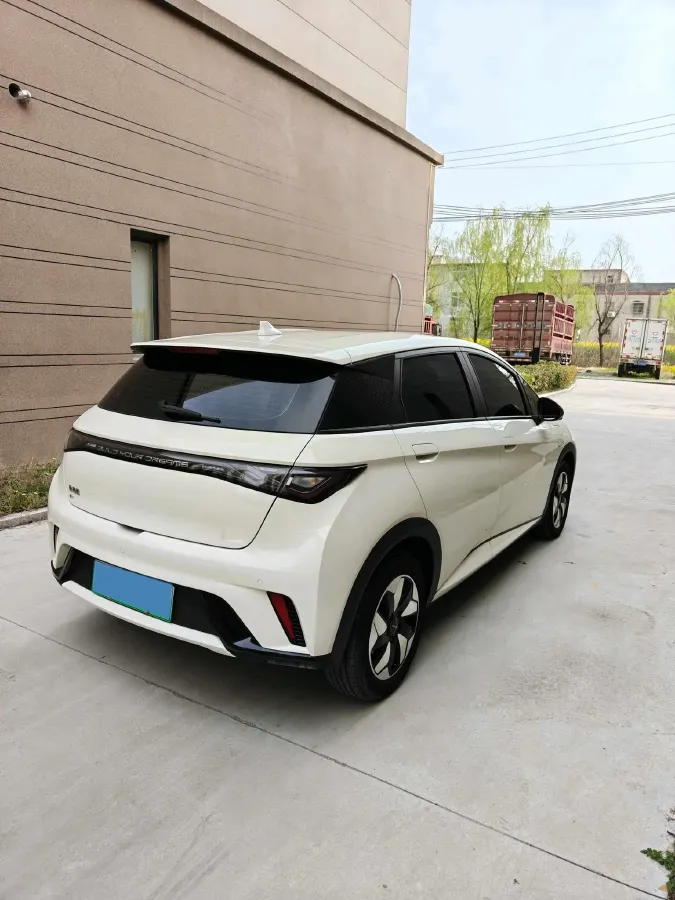2025 BYD Dolphin BEV 44.928KWH,autocango,china used car exporter,china ev exporter,chinese used car exporter,chinese used ev exporter