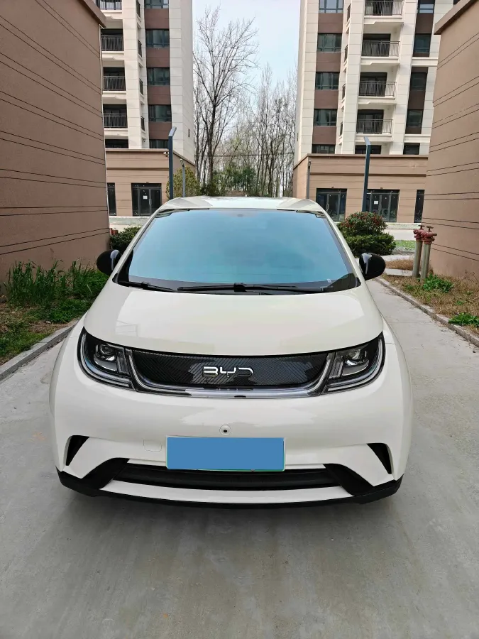 2025 BYD Dolphin BEV 44.928KWH,autocango,china used car exporter,china ev exporter,chinese used car exporter,chinese used ev exporter