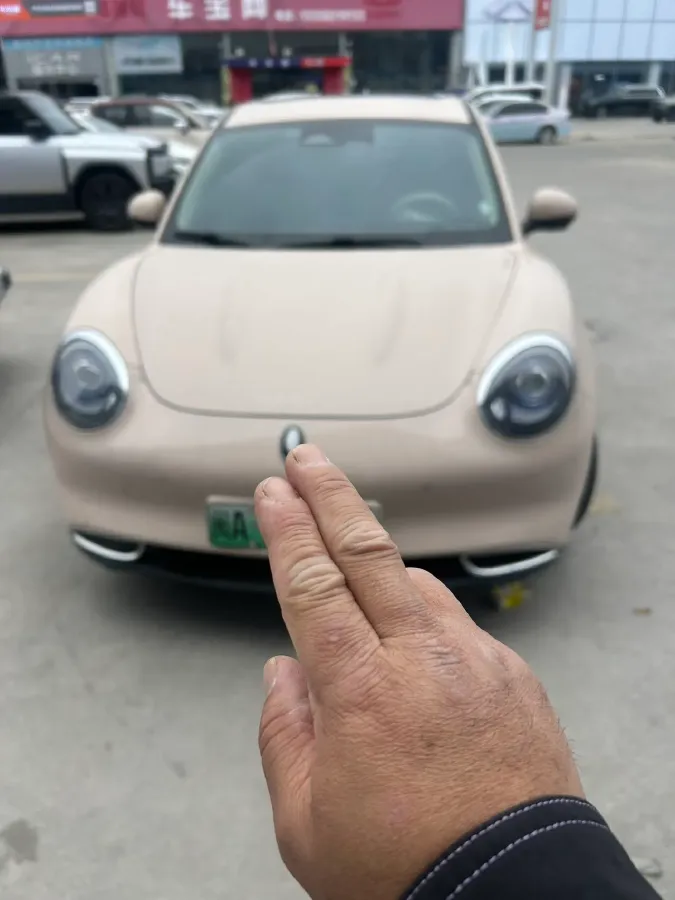 2021 Ora FunkyCat BEV 47.8KWH,autocango,china used car exporter,china ev exporter,chinese used car exporter,chinese used ev exporter