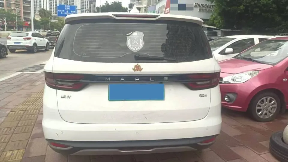 2021 Livan Maple 80v BEV 53KWH,autocango,china used car exporter,china ev exporter,chinese used car exporter,chinese used ev exporter