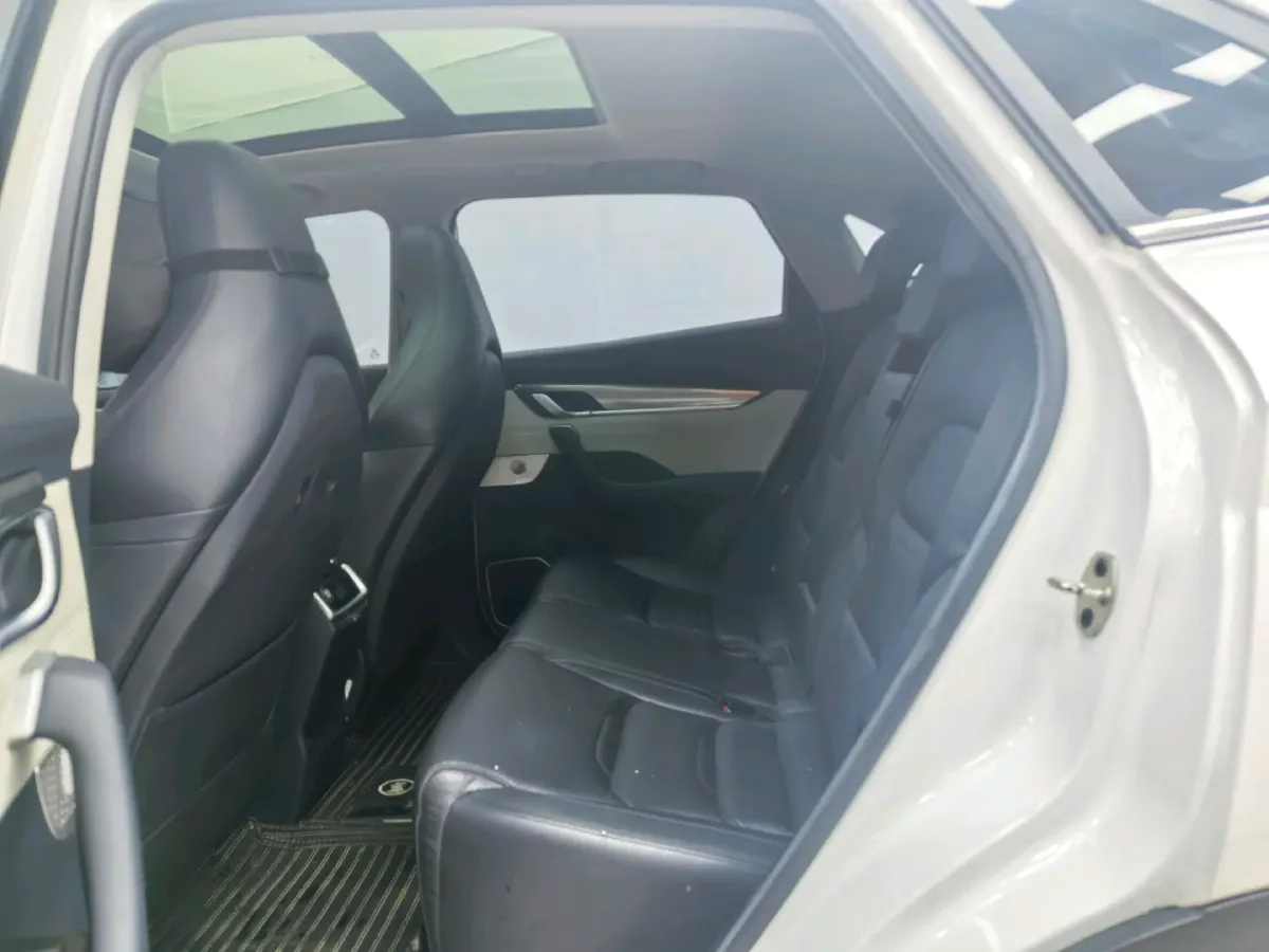 2018 Weltmeister EX5 BEV 52.56KWH,autocango,china used car exporter,china ev exporter,chinese used car exporter,chinese used ev exporter