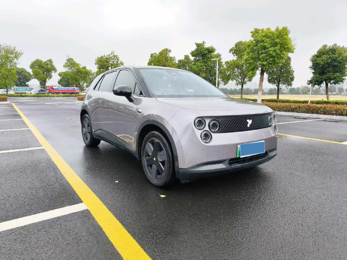 2025 Firefly Firefly BEV,autocango,china used car exporter,china ev exporter,chinese used car exporter,chinese used ev exporter