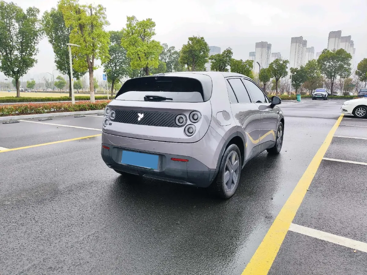 2025 Firefly Firefly BEV,autocango,china used car exporter,china ev exporter,chinese used car exporter,chinese used ev exporter