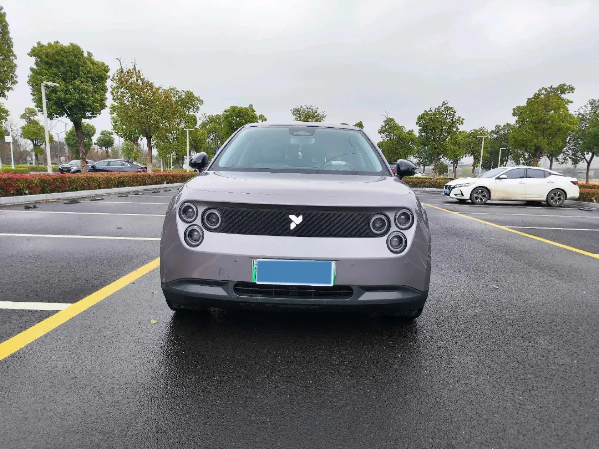 2025 Firefly Firefly BEV,autocango,china used car exporter,china ev exporter,chinese used car exporter,chinese used ev exporter