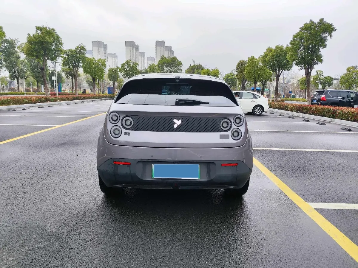 2025 Firefly Firefly BEV,autocango,china used car exporter,china ev exporter,chinese used car exporter,chinese used ev exporter