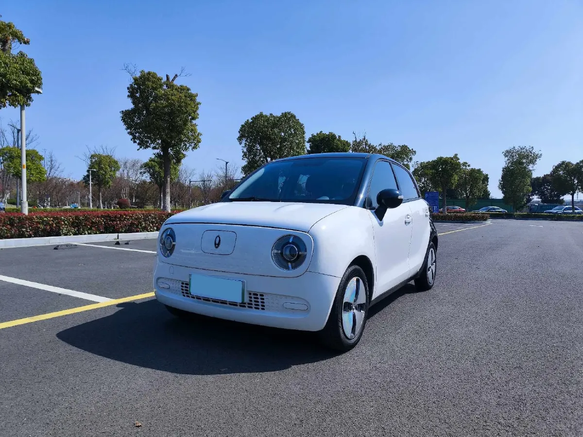 2021 Ora BlackCat BEV 30.3KWH,autocango,china used car exporter,china ev exporter,chinese used car exporter,chinese used ev exporter