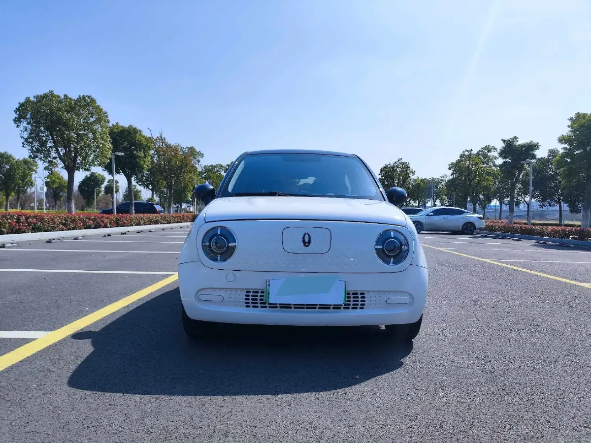 2021 Ora BlackCat BEV 30.3KWH,autocango,china used car exporter,china ev exporter,chinese used car exporter,chinese used ev exporter