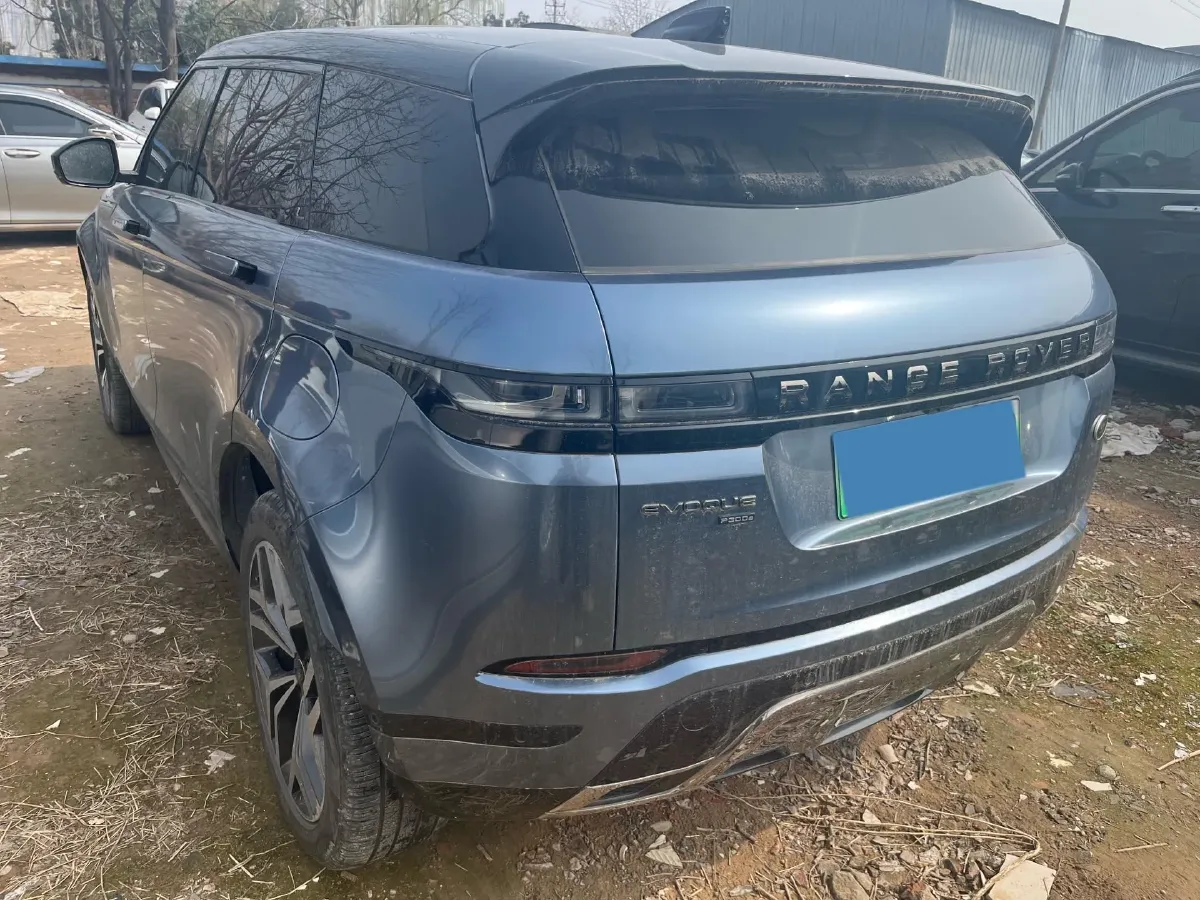 2022 Denza D9 1.5T 139HP L4 E-CVT PHEV 40.06KWH,autocango,china used car exporter,china ev exporter,chinese used car exporter,chinese used ev exporter