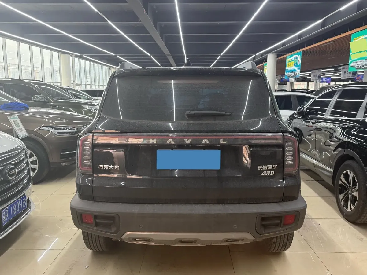 2024 Haval Dargo 2.0T 238HP L4 9DCT,autocango,china used car exporter,china ev exporter,chinese used car exporter,chinese used ev exporter
