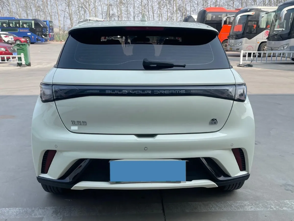 2023 BYD Dolphin BEV 44.928KWH,autocango,china used car exporter,china ev exporter,chinese used car exporter,chinese used ev exporter