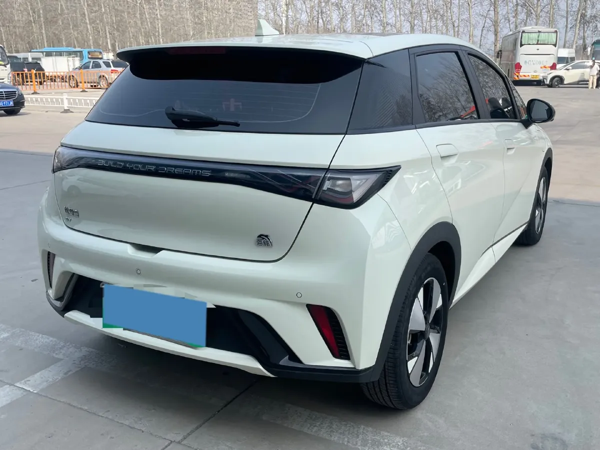 2023 BYD Dolphin BEV 44.928KWH,autocango,china used car exporter,china ev exporter,chinese used car exporter,chinese used ev exporter