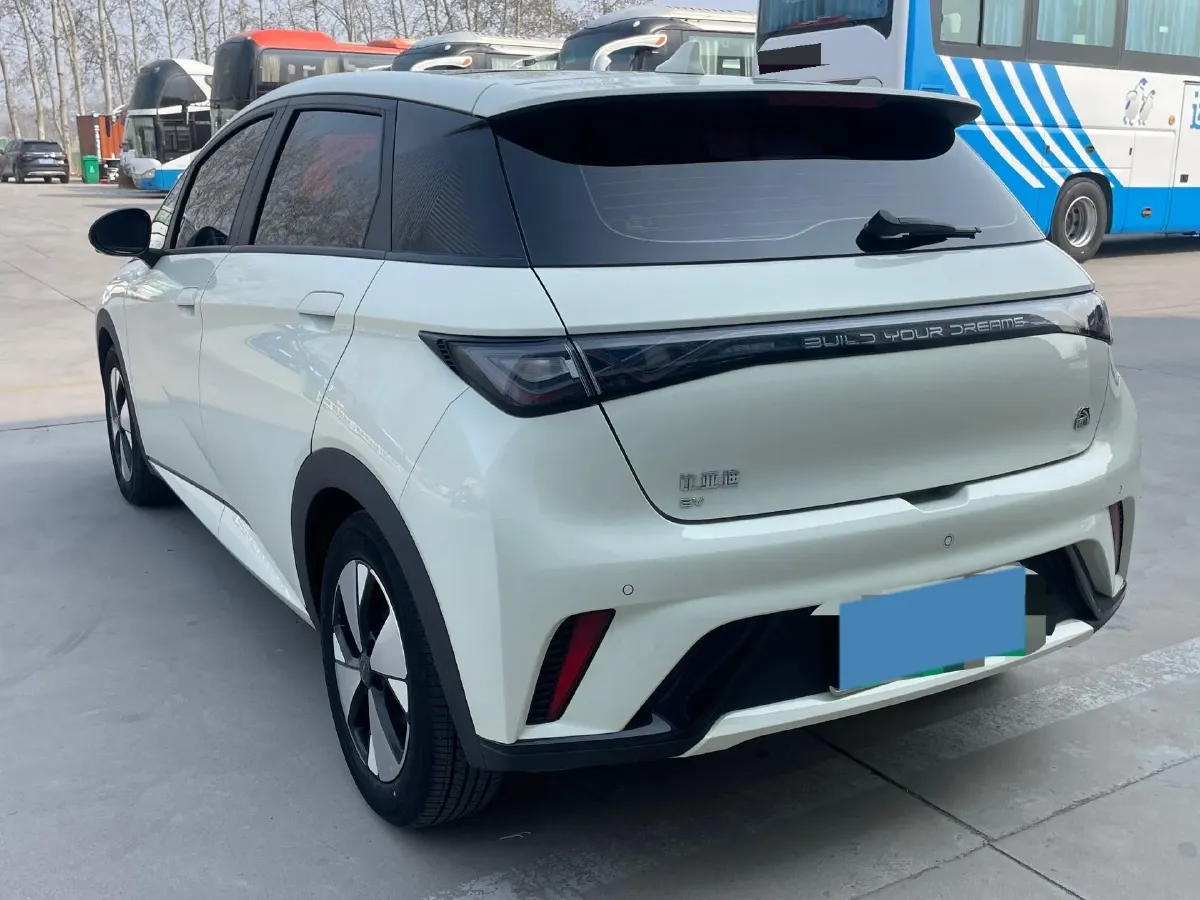 2023 BYD Dolphin BEV 44.928KWH,autocango,china used car exporter,china ev exporter,chinese used car exporter,chinese used ev exporter
