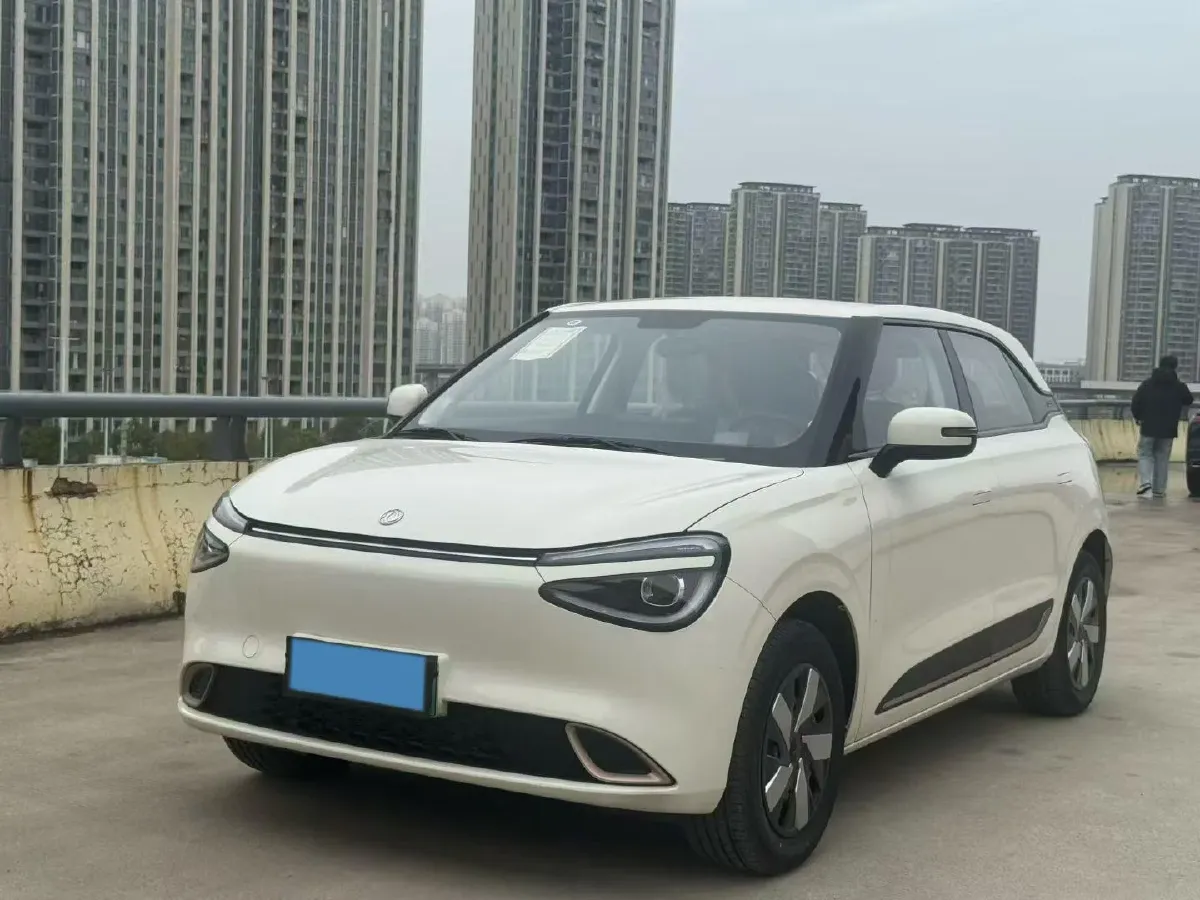 2024 DongFeng eπ 01 BEV 31.45KWH,autocango,china used car exporter,china ev exporter,chinese used car exporter,chinese used ev exporter