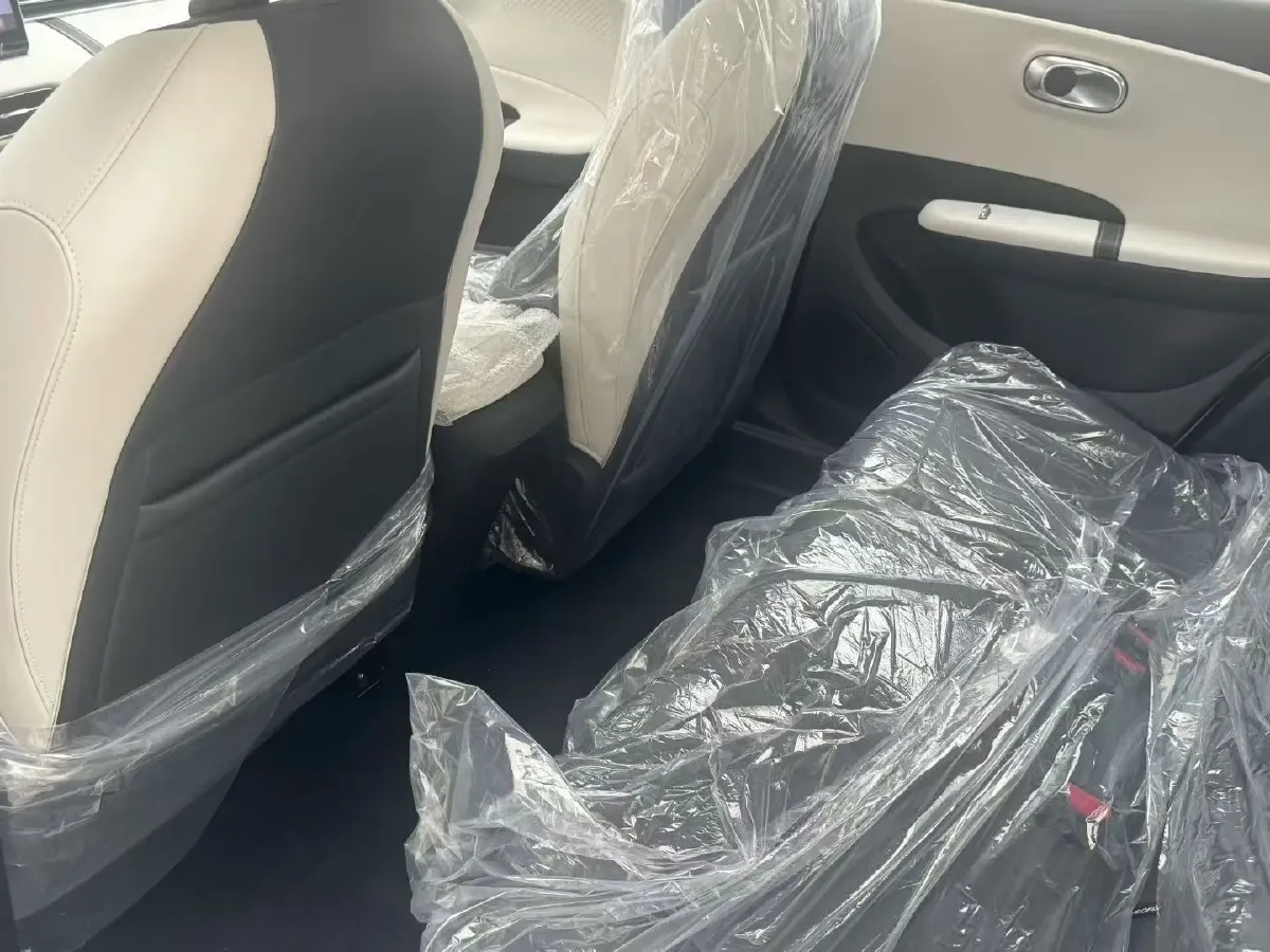 2024 DongFeng eπ 01 BEV 31.45KWH,autocango,china used car exporter,china ev exporter,chinese used car exporter,chinese used ev exporter