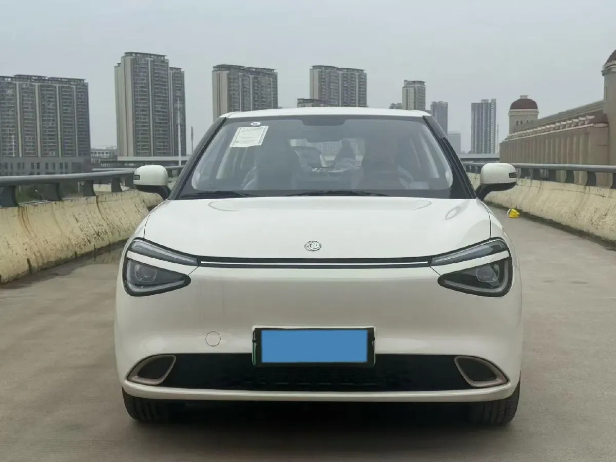 2024 DongFeng eπ 01 BEV 31.45KWH,autocango,china used car exporter,china ev exporter,chinese used car exporter,chinese used ev exporter