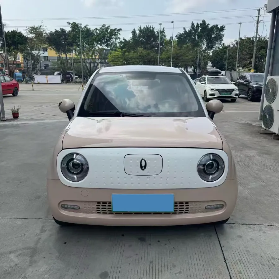2022 Ora BlackCat BEV 30.3KWH,autocango,china used car exporter,china ev exporter,chinese used car exporter,chinese used ev exporter